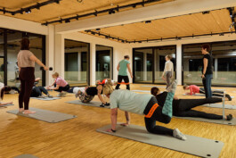 Daniela Meier – Praxis für Frauengesundheit und Physiotherapie, Zirkeltraining 